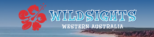 Wildsights Villas